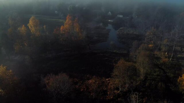 misty morning 