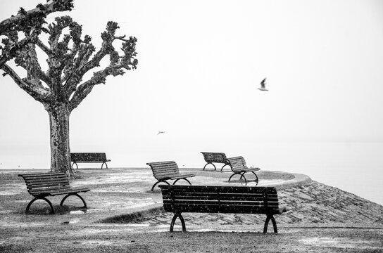 Regenwetter mit Graupelschauer im Herbst am Bodensee bei Konstanz. Uferweg mit Platanen und Parkbank.