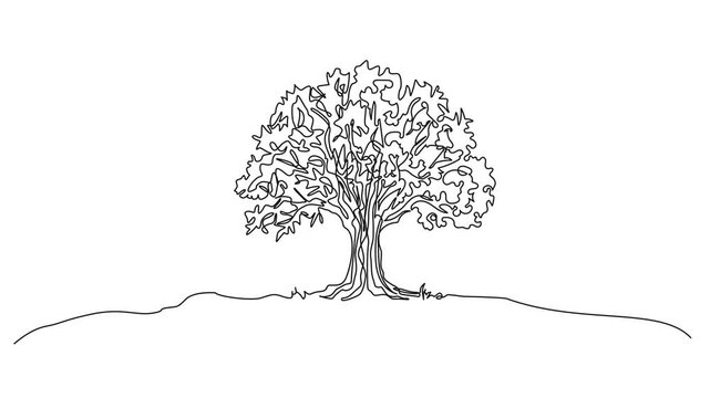animated continuous line drawing of majestic oak tree standing on gentle hill, minimalist line art animation representing nature, growth, and sustainability