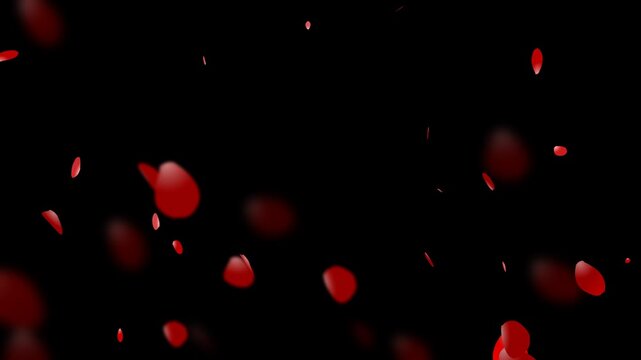 Falling bright red rose petals with the alpha channel. easy to use place on footage or background.