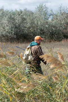A hunter with a gun in camouflage clothing. A gentleman with a gun, medium shot, unrecognizable.