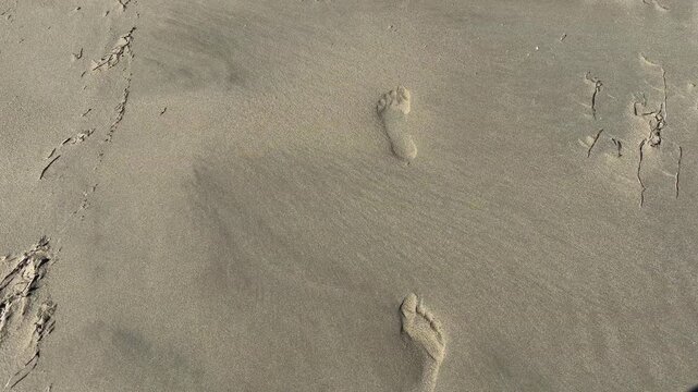 Footprints Left In Wet Sand On Beach Shoreline During Low Tide