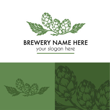 Brewery logo design in vector with hop vine hand drawn illustration for craft beer branding 