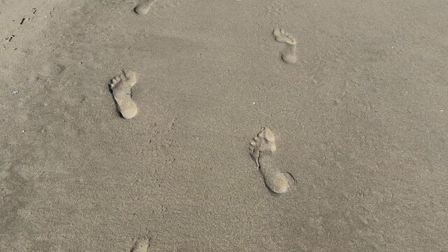 Bare Footprints Left In Wet Sand Along The Shoreline Beach 