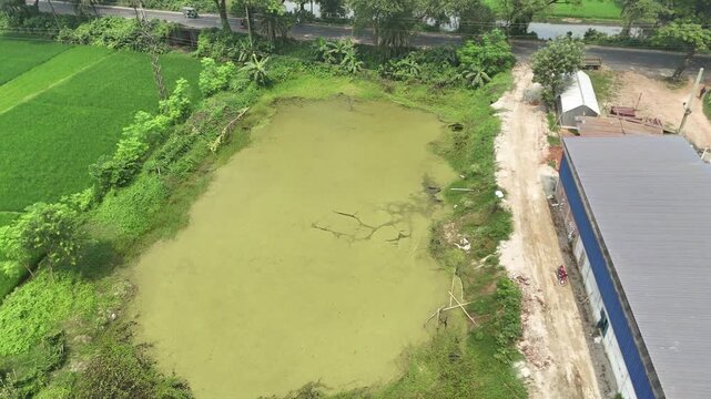 Aerial drone view of rural landscape with green algae pond, rice fields, and industrial warehouse building