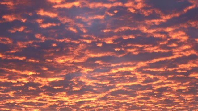 A spectacular sunset covers the entire sky, creating an incredible pattern of feathery clouds. Fiery orange and golden hues harmoniously intertwine with a deep blue background,