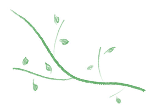 Delicate Green Branch with Small Leaves Hand Drawn Doodle