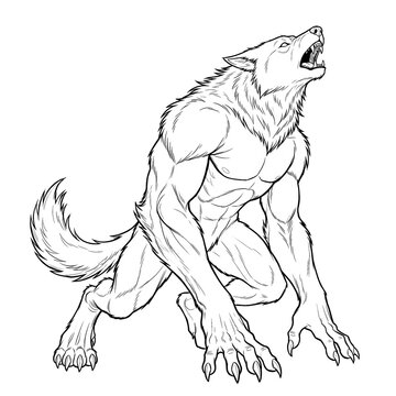 Hand drawn sketch of a werewolf howling one hand down 3/4 view. Line art illustration.