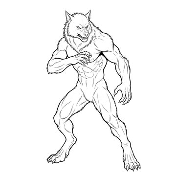 Hand drawn sketch of a guarding werewolf standing 3/4 view. Line art illustration.