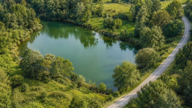 Elevated aerial view of a small green pond beside trees grass and a narrow road
