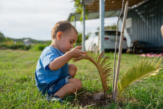 Toddler discovering nature