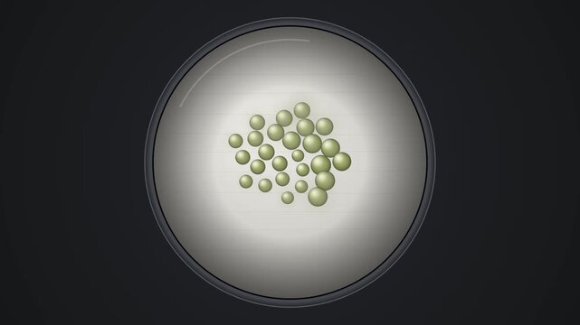 Green Spheres Moving Inside A Circular Container Against A Dark Background
