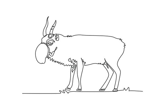 Continuous one line drawing wild saiga antelope standing in grassland, distinctive bulbous tubular snout, ridged upright horns, and slender hooves. Single line draw design vector graphic illustration