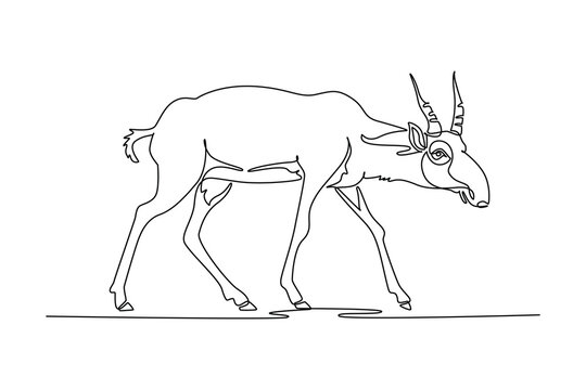 Continuous one line drawing endangered wild saiga antelope striding across grassland terrain, distinctive bulbous nasal cavity, ringed upright horn. Single line draw design vector graphic illustration