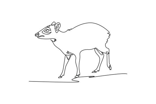 Continuous one line drawing a mousedeer walking cautiously across savanna brush, tiny horns, large dark eye marking, arched back, and slender legs. Single line draw design vector graphic illustration