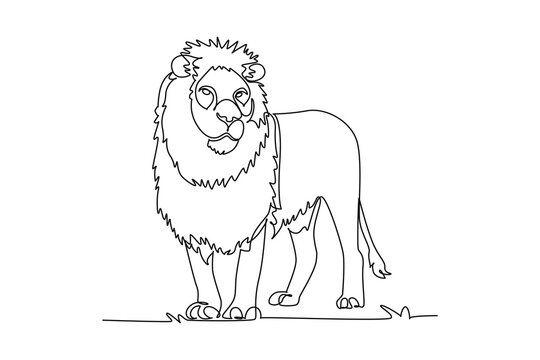 Single continuous line drawing majestic male African lion standing frontally in the savanna grass, circular mane, intense frontal stare, powerful paws. One line draw graphic design vector illustration