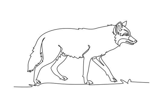 Single one line drawing wild jackal or wolf trotting across savanna grass, highlighting its slender canine body, pointed erect ears, bushy tail. Continuous line draw design graphic vector illustration