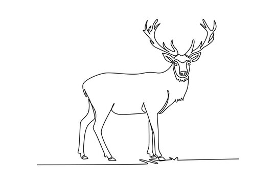 Single one line drawing wild deer stag standing in a meadow looking straight forward, large branching antlers, slender stance, and sharp hooves. Continuous line draw design graphic vector illustration