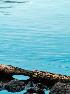 Weathered driftwood log resting on dark rocks at the edge of calm turquoise water with soft ripples, peaceful lakeside nature scene with copy space