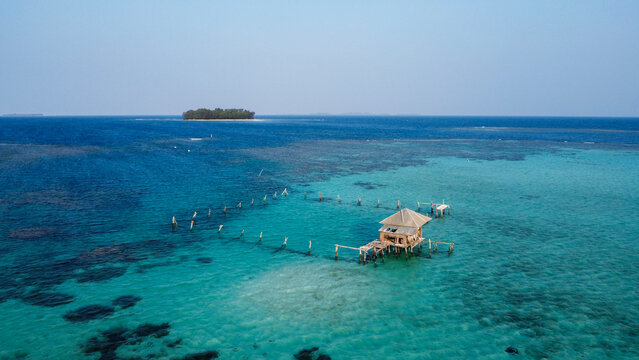 Indonesian reef - Karimunjawa - Java