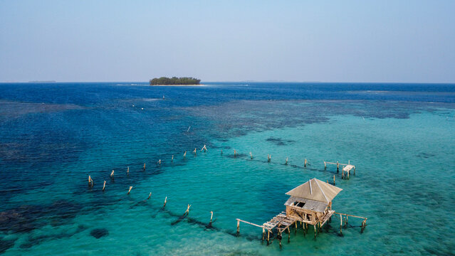 Indonesian reef - Karimunjawa - Java
