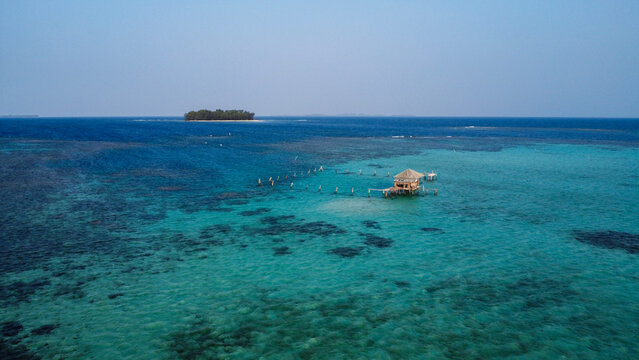Indonesian reef - Karimunjawa - Java