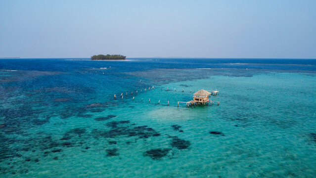 Indonesian reef - Karimunjawa - Java