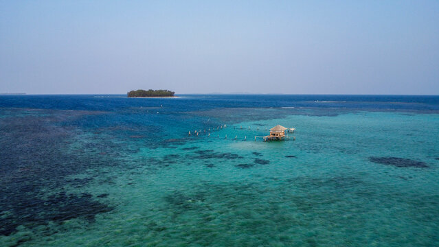 Indonesian reef - Karimunjawa - Java