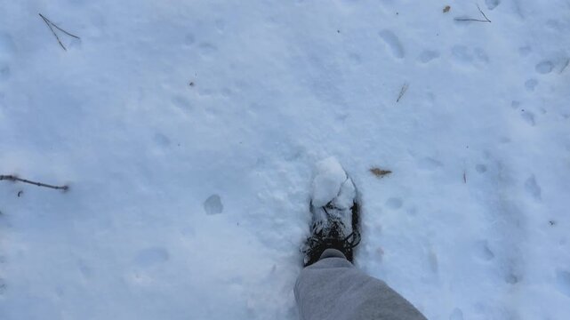 POV to male foot stepping on snowy path in park at cold day. Legs of young man in sneakers hiking through white deep snow going at forest. Concept of winter active recreation and holiday trip
