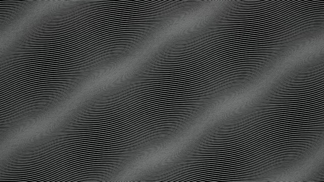 Monochrome line waves undulating seamless loop motion background