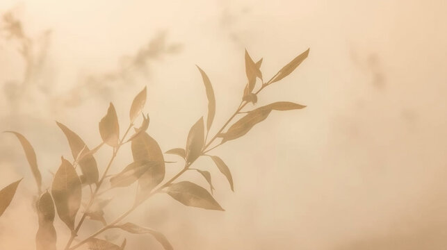 Aesthetic minimalist background in warm beige tones with pampas grass shadows and soft elegant textures