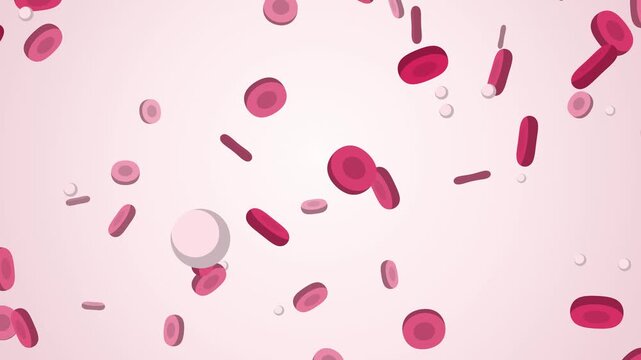 Red blood cells floating in white and red, seamless loop animated background