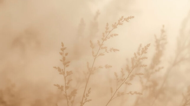 Aesthetic minimalist background in warm beige tones with pampas grass shadows and soft elegant textures