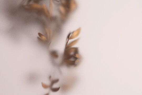 Smoke selected soft focus dried beige brown leaf branch twig through translucent matte frosted glass. Abstract natural blurred grain light fog background.