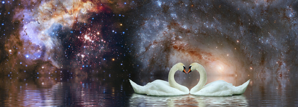 Two swans face each other on water beneath a star-filled galaxy