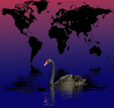 Black swan swimming beneath a world map graphic over a color gradient background