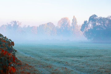 Misty autumn morning by a tranquil lea, a concept of peace and quiet, Poland © anettastar