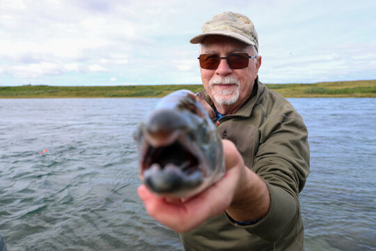 Happy mature man showing off his fresh salmon catch while on vacation. Retirement trip on an Alaskan river with big fish. 
