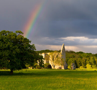 europe, UK, England, Surrey, Newark Priory