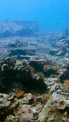 Seascape of Mantanani Island, Sabah © taffpixture