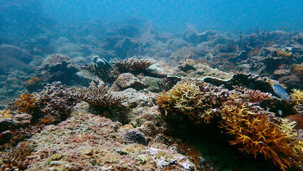 Seascape of Mantanani Island, Sabah © taffpixture