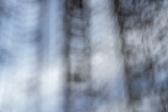 The background of the image appears blurred and hazy, with a predominance of gray and white shades.