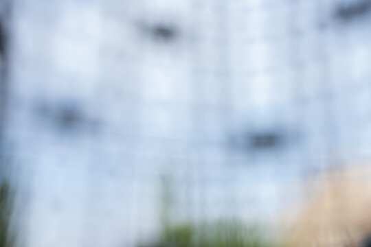 The background in the image is blurred.