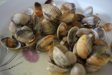 Fresh Steamed Cockles Shellfish Dish Served on Plate © Josefotograf