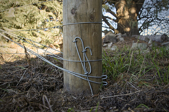 Fence post showing detailed wire work for tensioned fence wire termination using U staples