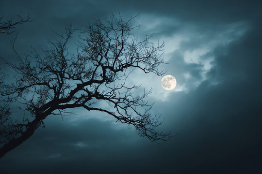 Twisted bare tree silhouette under glowing full moon on moody night