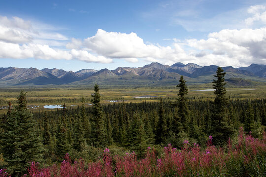 Mountains on the Glenn Highway in Alaska