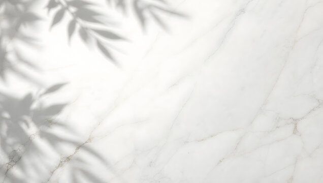 a clean white marble texture surface with soft natural leaf shadows falling across