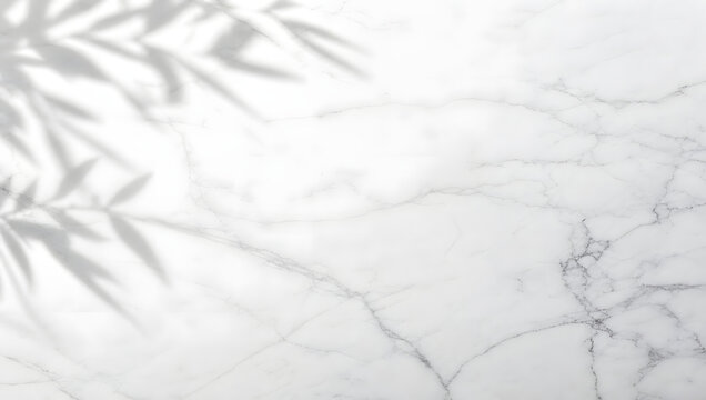 a clean white marble texture surface with soft natural leaf shadows falling across