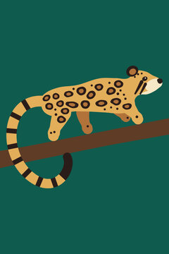 Clouded leopard stalking along a thick branch with cloud shaped markings and a long banded tail hanging below, flat vector poster on deep green